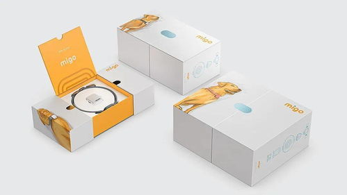 當(dāng)凡爾賽遇上寵物設(shè)計(jì) 那些聊不完的話題與圖文藝術(shù)