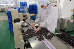 松江崛起食品產(chǎn)業(yè)巨擘 年銷售額破50億的“隱形冠軍”揭秘